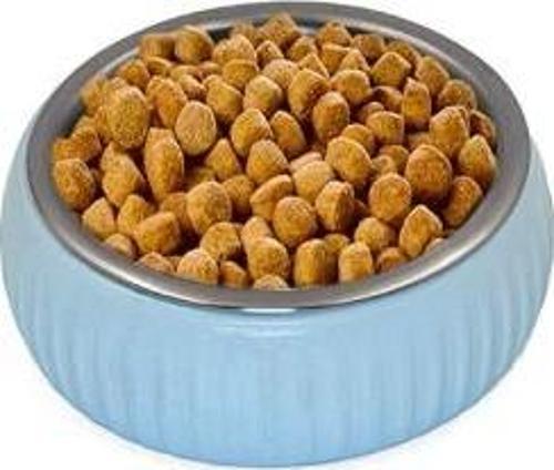 Mikopet Organik Seramik Mama Kabı Mavi