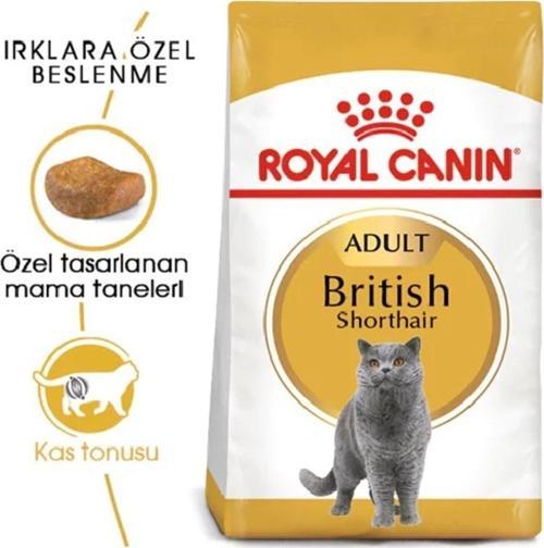 British Shorthair Yetişkin Kedi Maması 2 kg Adult Cat Food