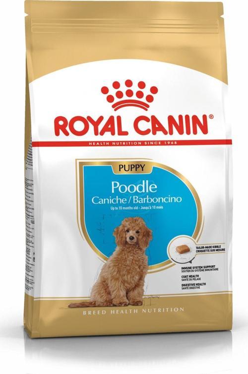 Poodle Yetişkin Köpek Maması 3 kg