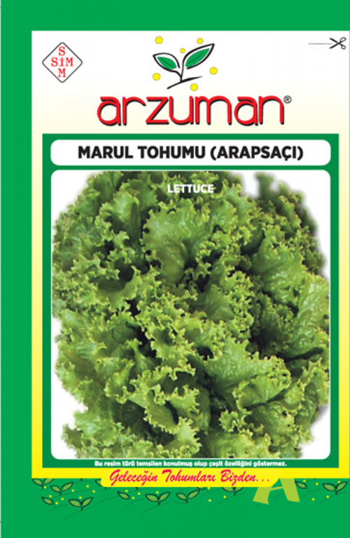 ARAPSAÇI KIVIRCIK MARUL TOHUMU 10 GR ORT 7500 AD TOHUM