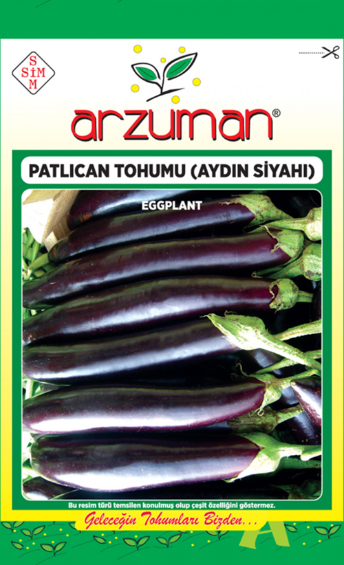 AYDIN SİYAHI PATLICAN TOHUMU 10 GR ORT 2000 AD TOHUM