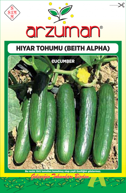 BEİTH ALPHA SALATALIK TOHUMU 10 GR ORT 300 AD TOHUM