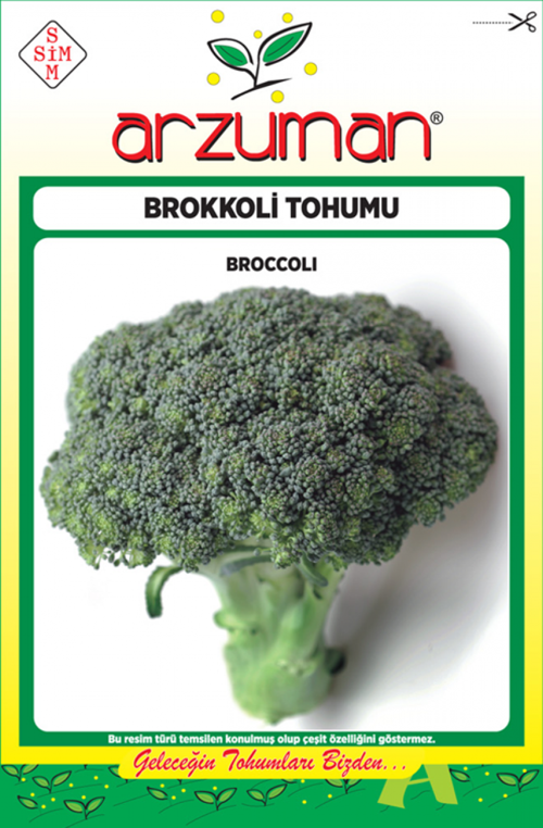 BROKOLİ TOHUMU 300 AD TOHUM