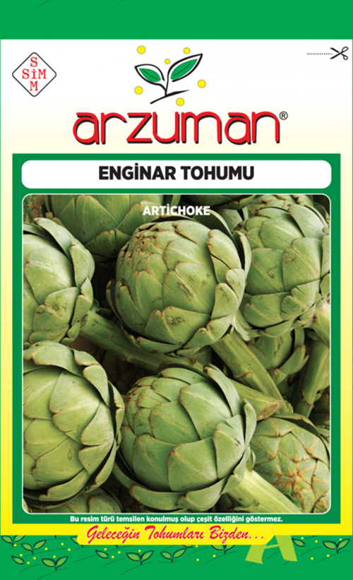 ENGİNAR TOHUMU 20 AD TOHUM