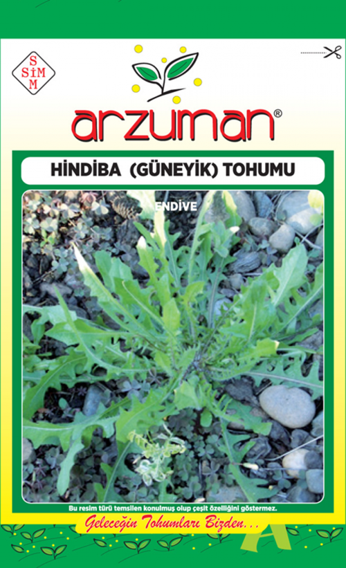 HİNDİBA (GÜYENİK) ACI MARUL TOHUMU 5 GR
