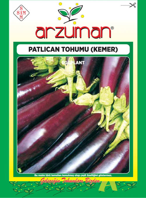 KEMER PATLICAN TOHUMU 10 GR ORT 2000 AD TOHUM