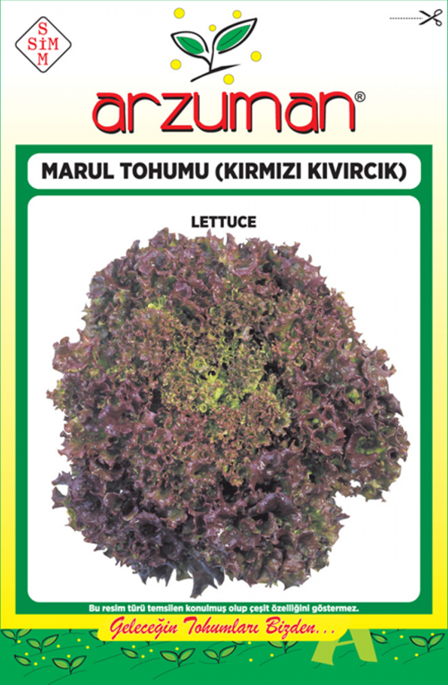 KIRMIZI KIVIRCIK MARUL TOHUMU 5 GR ORT 3750 AD TOHUM