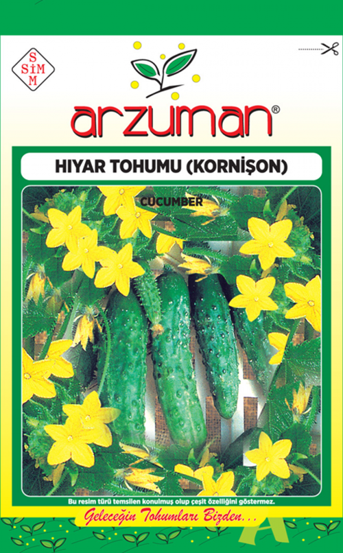 KORNİŞON SALATALIK TOHUMU 100 AD TOHUM