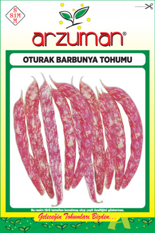 OTURAK BARBUNYA TOHUMU 50 GR