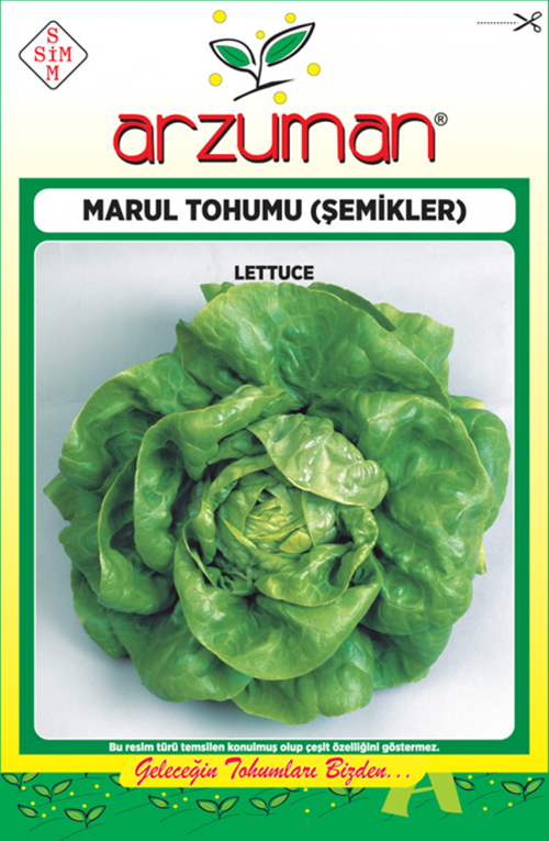 ŞEMİKLER MARUL TOHUMU 10 GR ORT 7500 AD TOHUM