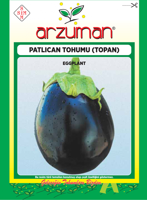TOPAN PATLICAN TOHUMU 10 GR ORT 2000 AD TOHUM