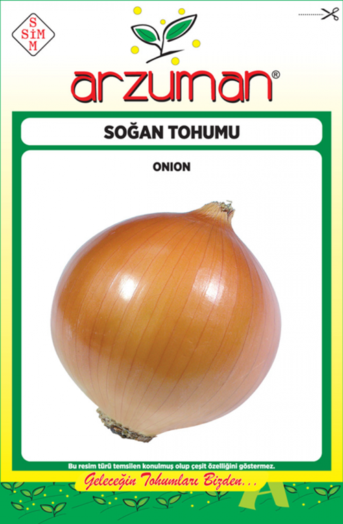 VALENCİANA SOĞAN TOHUMU 10 GR ORT 2500 AD TOHUM