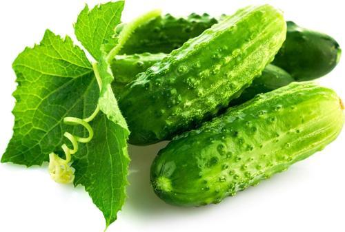 Yerli Kornişon Salatalık Tohumu 3 Gr (Ort 120 Ad Tohum)
