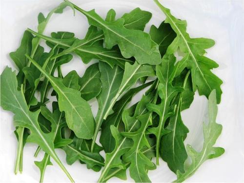 Yerli Roka Tohumu 10 Gr (Ort 3000 Ad Tohum)