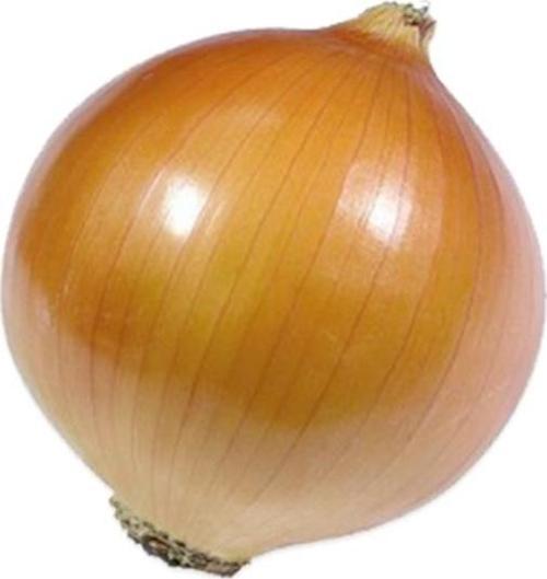 Yerli Sarı Soğan Tohumu - 10 Gr (Ort 2500 Ad Tohum)
