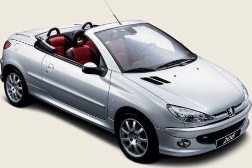 Coil-Ex Peugeot Uyumlu 206 06.1999-Sonrası Spor Yay 35 Mm