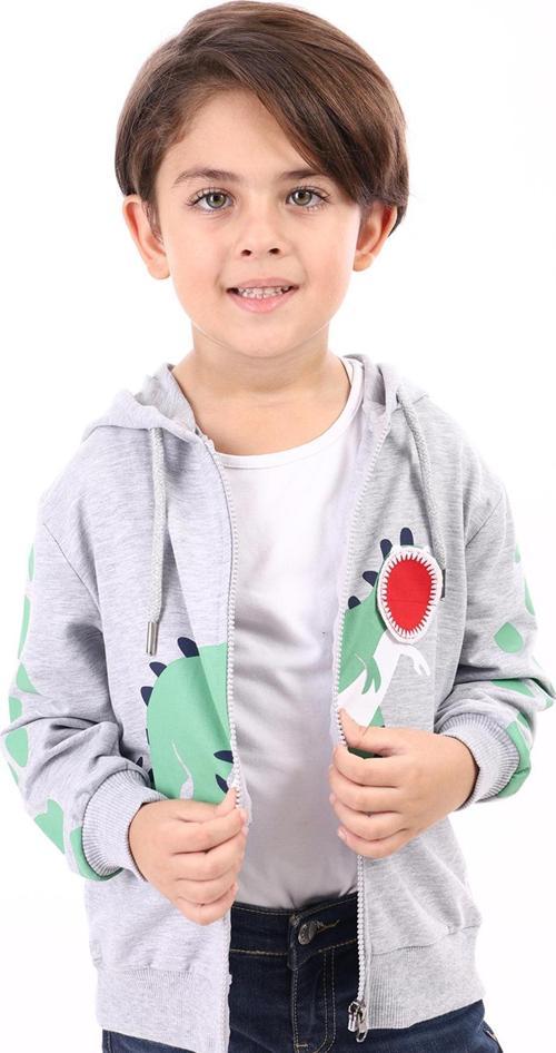 Toontoy Erkek Çocuk Baskılı Hırka
