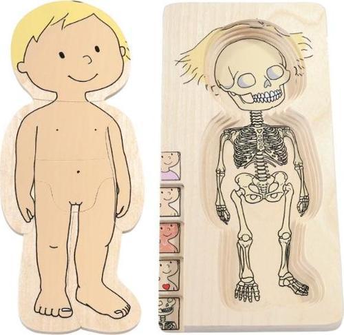 İnsan Anatomisi Puzzle - Kız