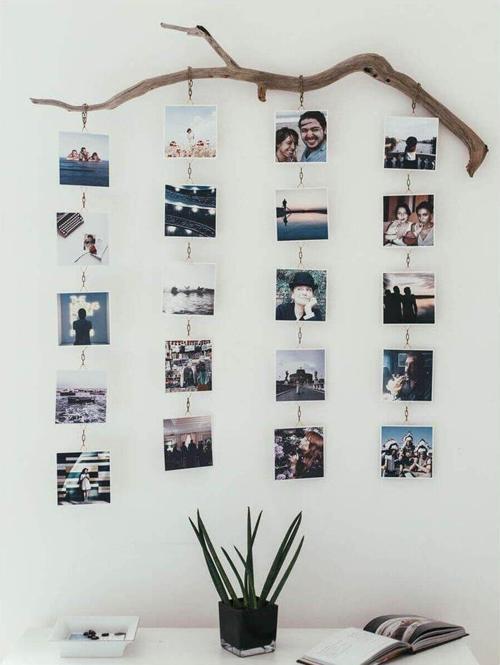 Dal Fotoğraflık Four