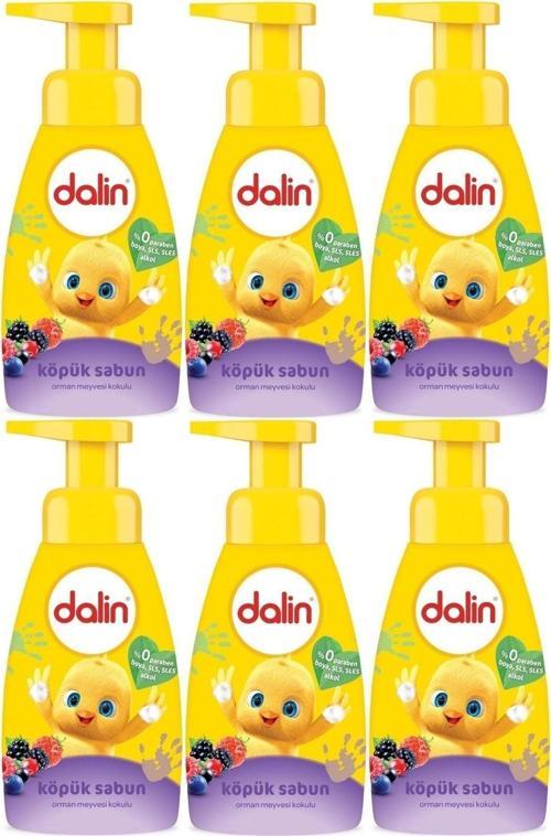 Orman Meyvesi Kokulu Köpük Sabun 6 x 200 ml