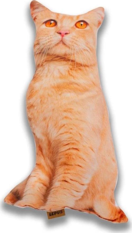 3 Boyutlu Kedi Yastığı No 8 40x25 Cm