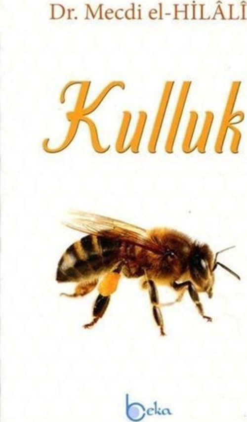 Kulluk