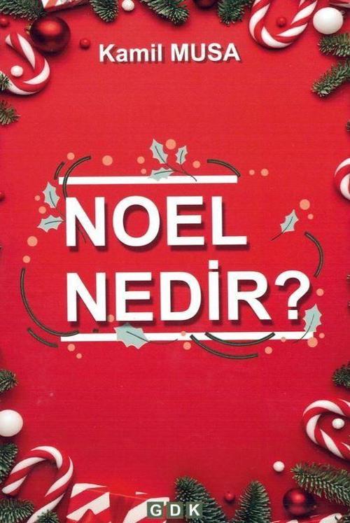 Noel Nedir?