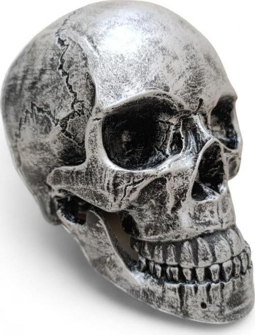 1:1 İnsan Kafası Kafatası Heykeli Dekor Kroki Modeli Heykel