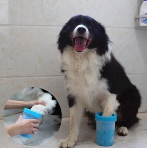 Köpek Pati Yıkama ve Temizleme Aparatı Küçük Boy
