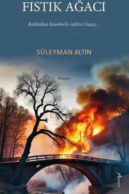 Armoni Fıstık Ağacı