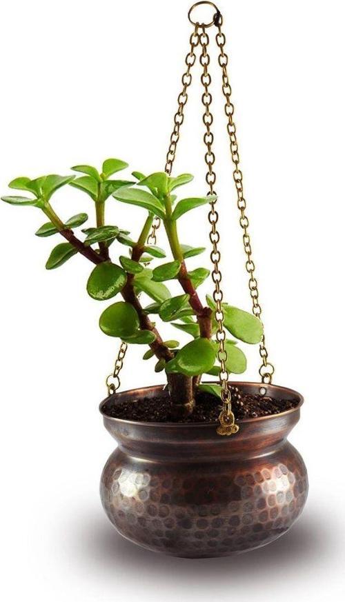 Kabak Bakır Askılı Saksı 17cm