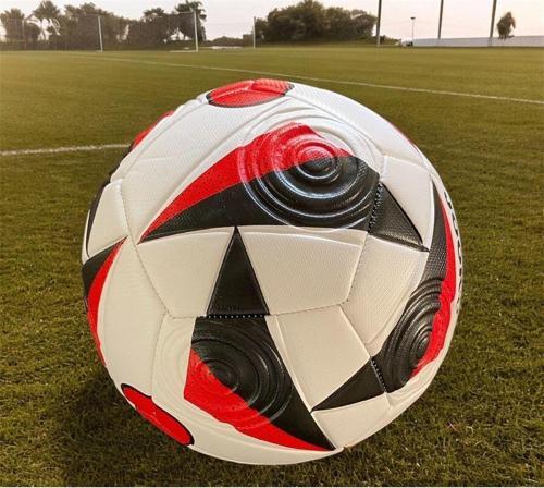 Avrupa Futbol Şampiyonası Maç Topu Kabartmalı Yüzey Halı Saha Çim Topu(Beton Zemine Uygun) Pompa