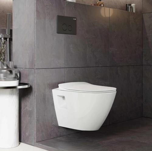 Terra Rim-Off  Asma Klozet Beyaz  TP329(Kapak Hariçtir)