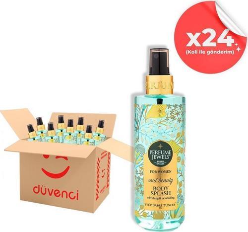 Soul Beauty 250 ml x 24