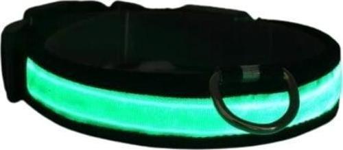 Petzz Işıklı Ayarlanabilir Flaşörlü Kedi ve Köpek Boyun Tasması Yeşil 52-60 Cm / 2.5 Cm