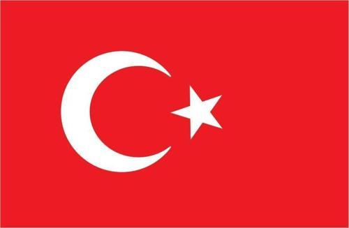 Türk Bayrağı  80X120