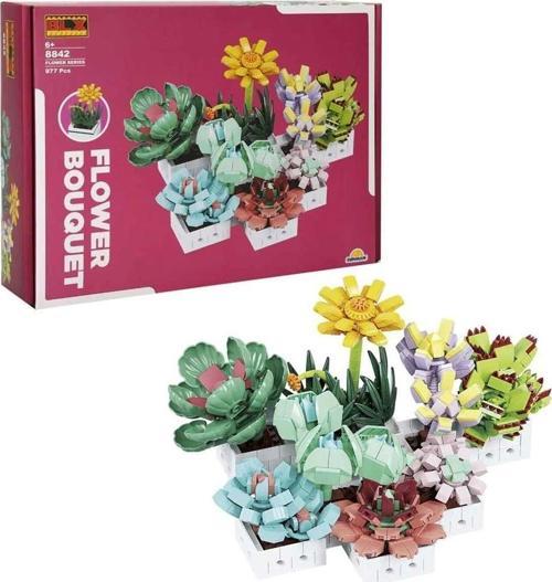 Nessiworld S00004685 BLX FLOWER SET SCULENT 971 PRÇ -SUN