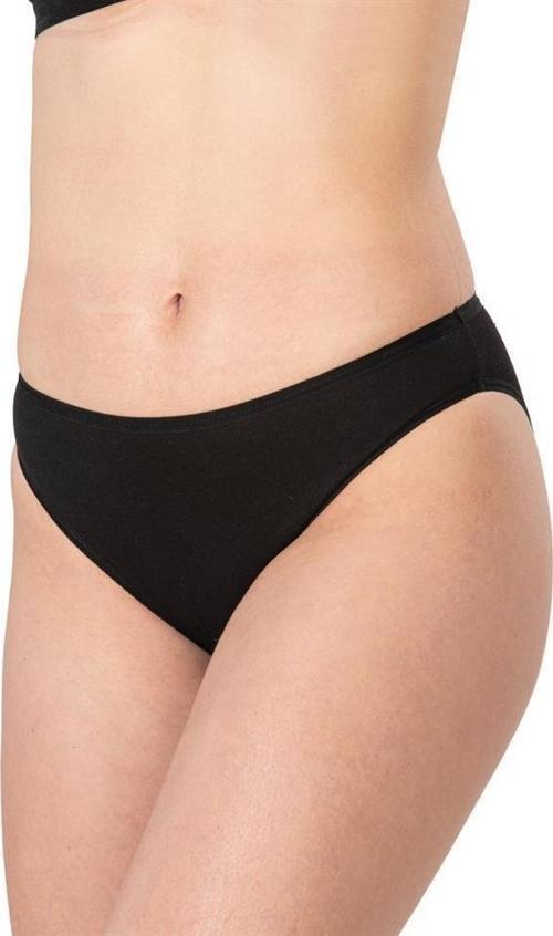 Bayan Modal Pamuklu Bikini Külot 1441