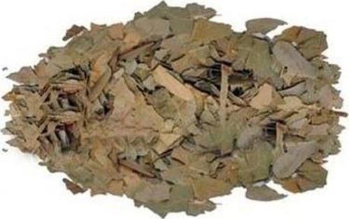Dökme Bitkiler Avokado Yaprağı - 100 Gr