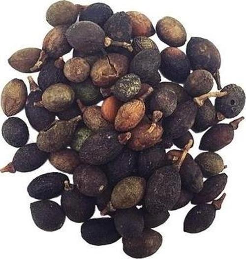Dökme Tohumlar Defne Tohumu - 100 gr