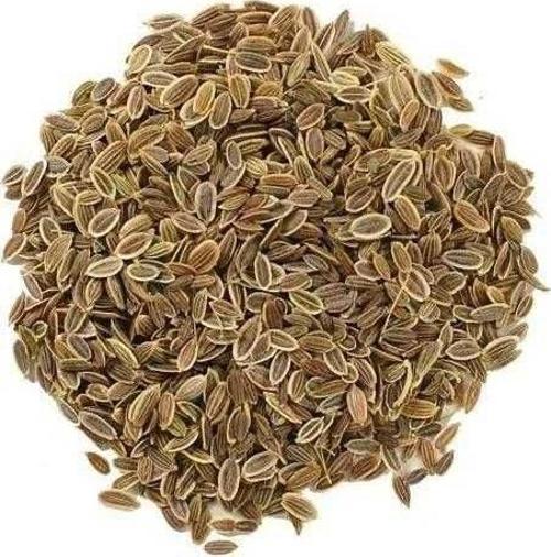 Dökme Tohumlar Dereotu Tohumu - 100 gr