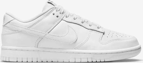 Dunk Low Kadın Ayakkabı DD1503-109