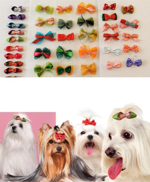 Köpek Toka Karışık 20 Adet Lüx Aksesuar Latikli Toka