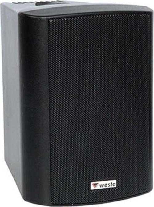 WS-4TB 4" 10 cm 16 Ohm 100 Watt Trafolu Kabin Hoparlör Sağ Sol Takımı Siyah