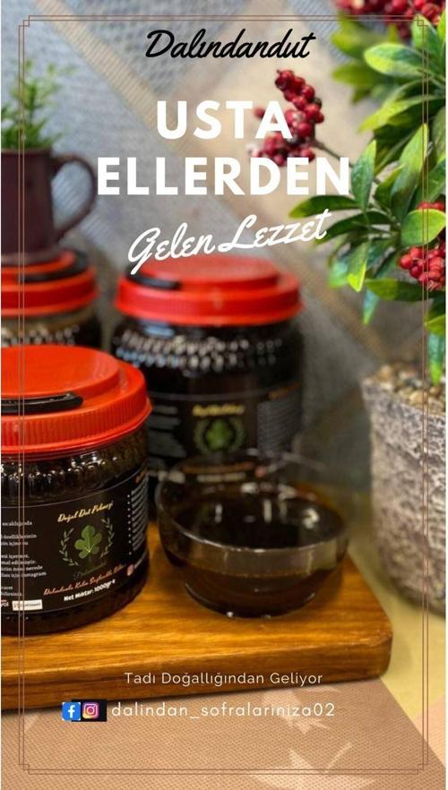 Yeni Mahsül Doğal Organik Dut Pekmezi (Katkısız) 1000 Gr