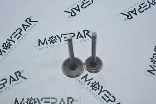 52725 SUBAP TAKIMI SPACY ALPHA RKS SPONTINİ (ARZU)
