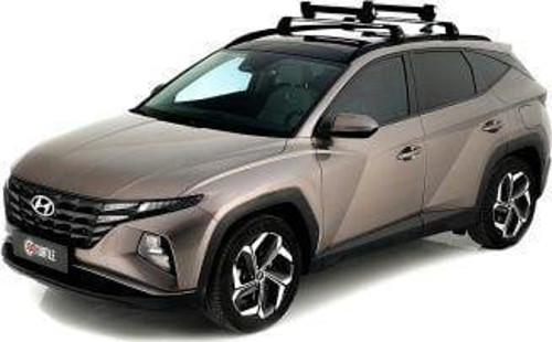 Kayak Taşıyıcı Uyumlu Gri Araç Üstü Kayak Taşıma 2'Li Apex 4 Parça