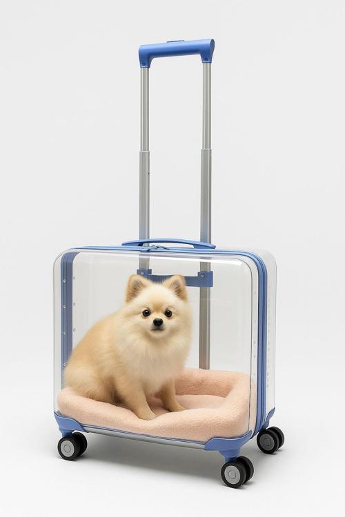 Şeffaf Pet Valiz %100 Polikarbon Valiz 1821