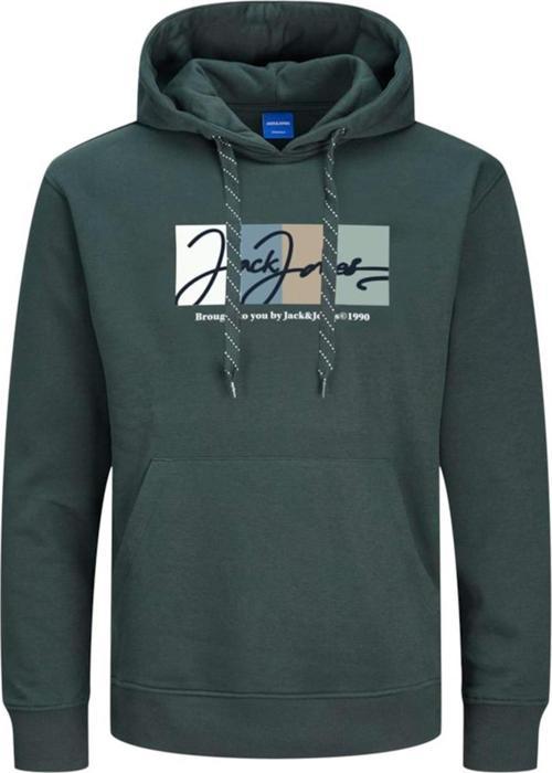 JORPORTLAND BLOCK SWEAT HOOD LN YEŞİL12262421