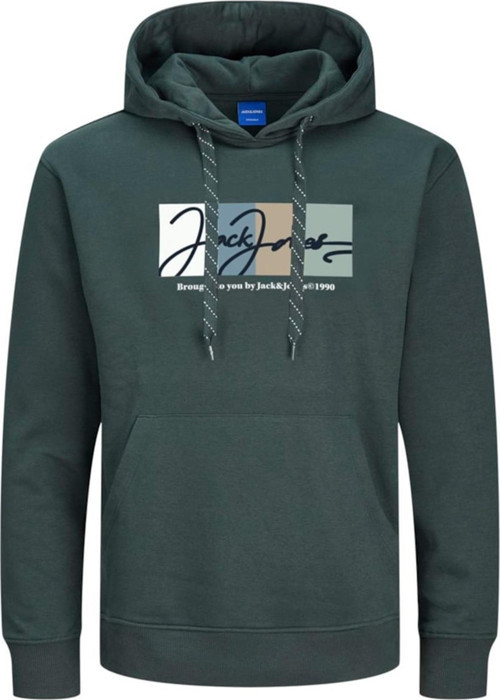 JORPORTLAND BLOCK SWEAT HOOD LN YEŞİL12262421